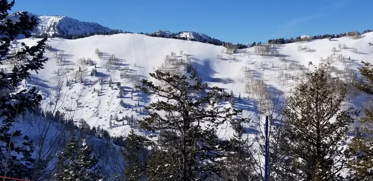 Stunning At Solitude, Steps From Chair Lift, East #103 Brighton Exterior photo